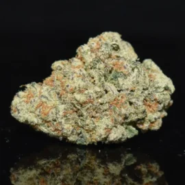 Blueberry Kush Indica Strain