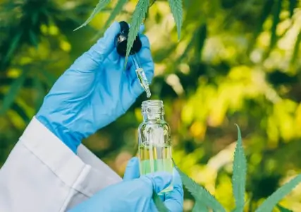 A Day in the Life of a Cannabis Connoisseur